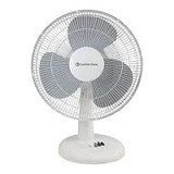 Fans