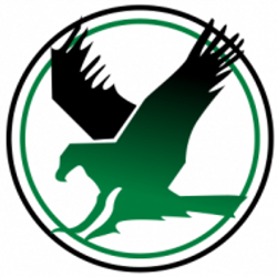 Falcon Falcon