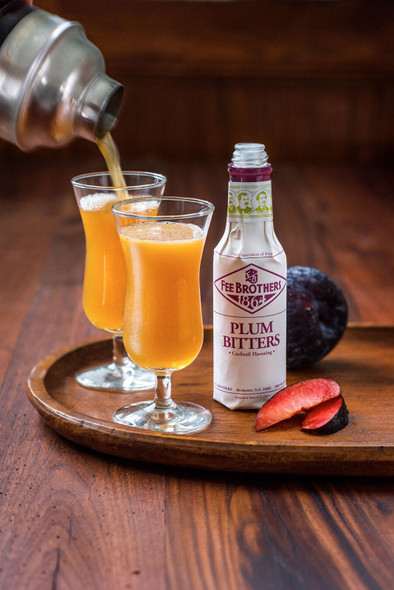 Fee Brothers 5 oz. Plum Bitters