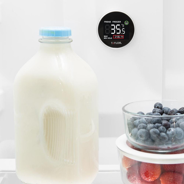 Taylor 1445 Digital Refrigerator & Freezer Thermometer