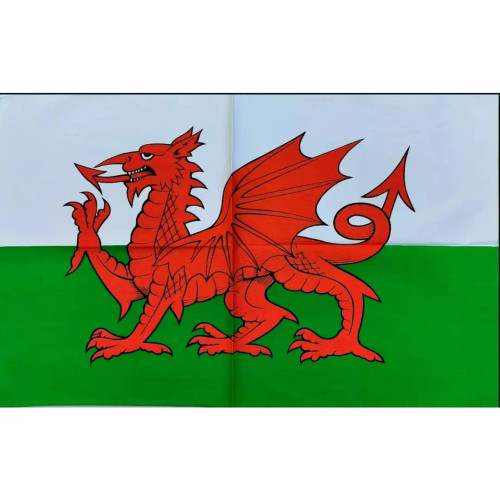 Wales Flag Tea Towel - Cotton Dragon Design