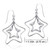 Sterling Silver Star Shaped Drop Earrings