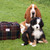 Harris Tweed Overnight Weekend Bag Tartan Design