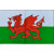 Wales Flag Tea Towel - Cotton Dragon Design