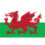 Wales Flag Tea Towel - Cotton Dragon Design