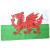 Wales Flag Tea Towel - Cotton Dragon Design