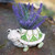 Celtic Turtle Ceramic Mini Plant Pot