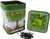 Tree of Life Tea Collection - 2 Mugs, Teapot & Tea