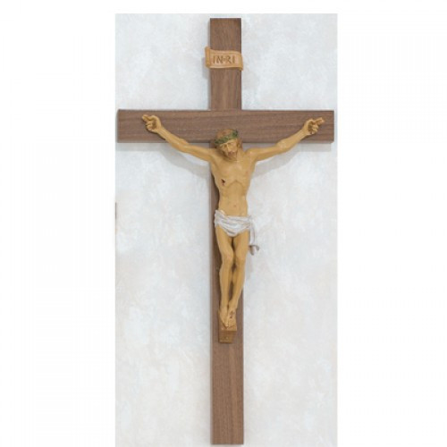 24" WALNUT-ITALIAN CORPUS CFX