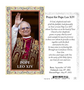 Pope Leo XIV Gold Embossed Paper Holy Card (Pack of 100)
