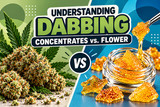 Understanding Dabbing? Concentrates vs. Flower Explained