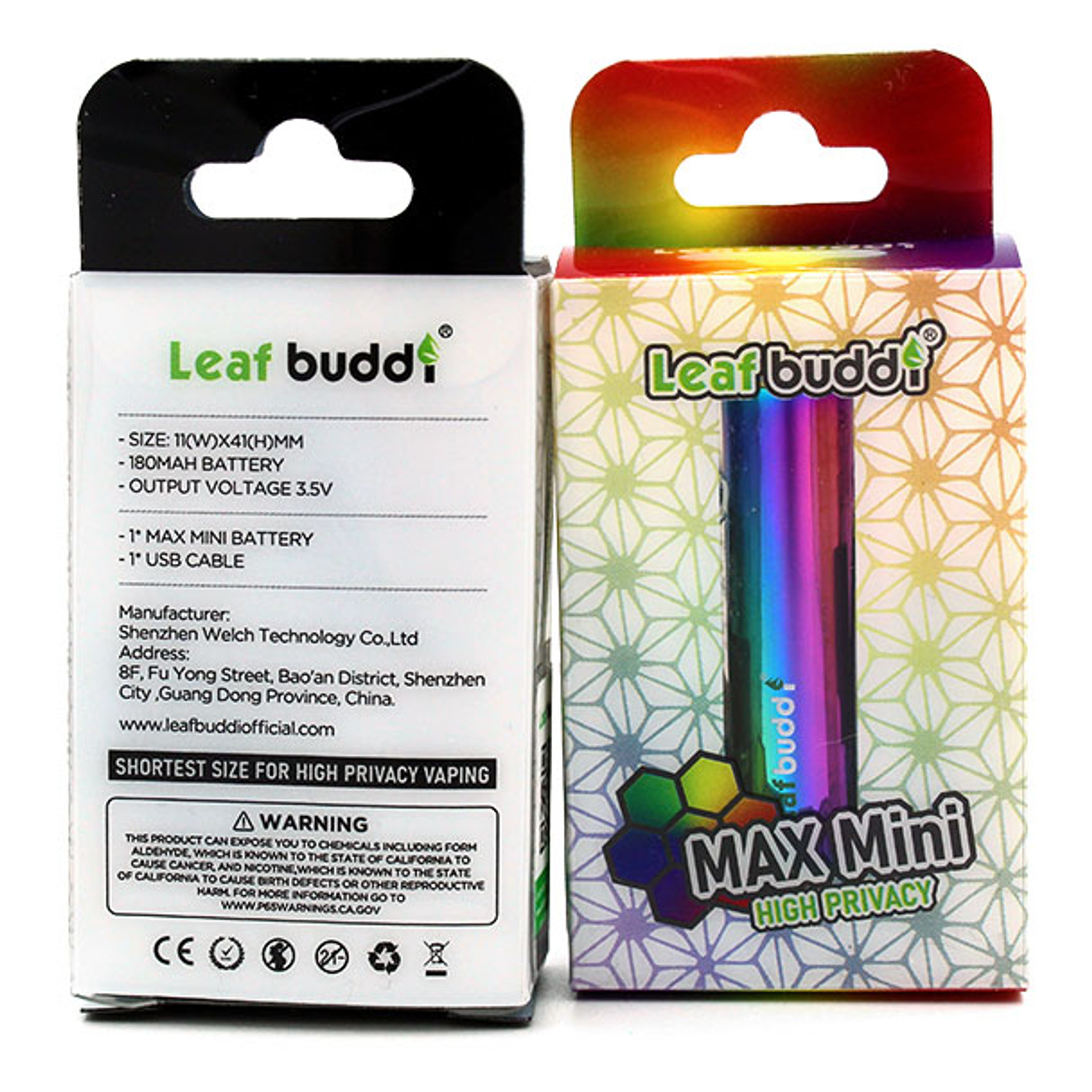 leaf buddi max 2