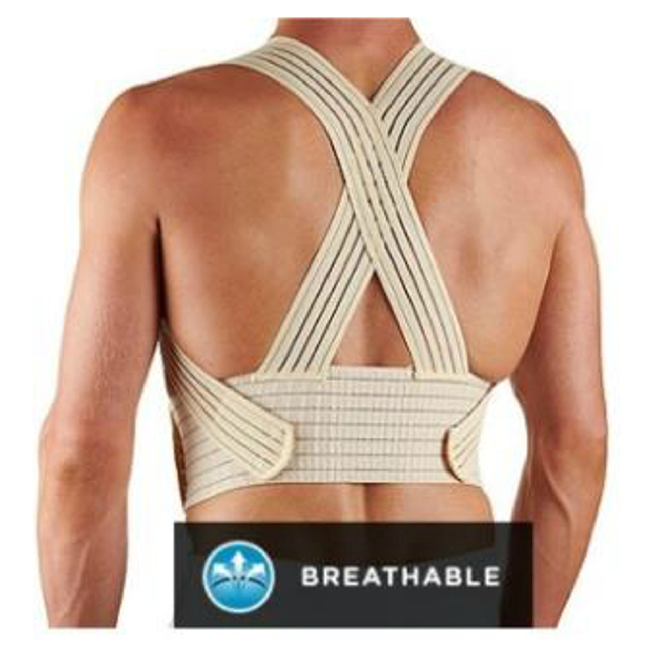 Buy Upper Back Support Belt Australia - Xpress Medical Supplies