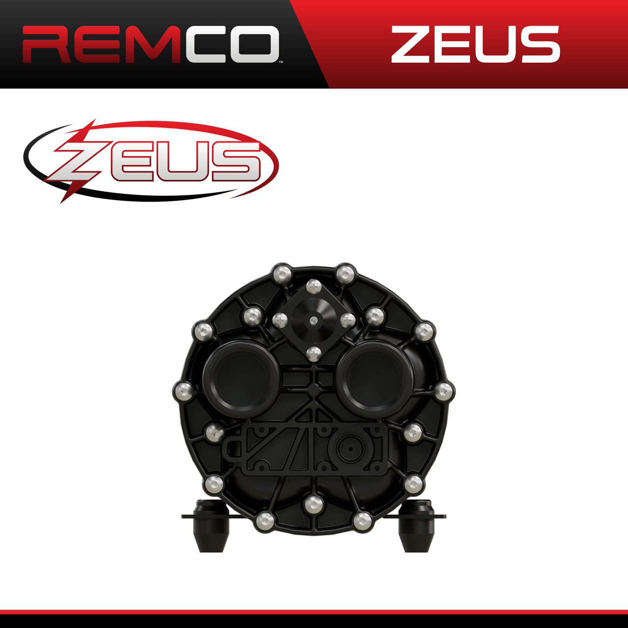 Remco 115 VAC Zeus Bulk Transfer Pump Only