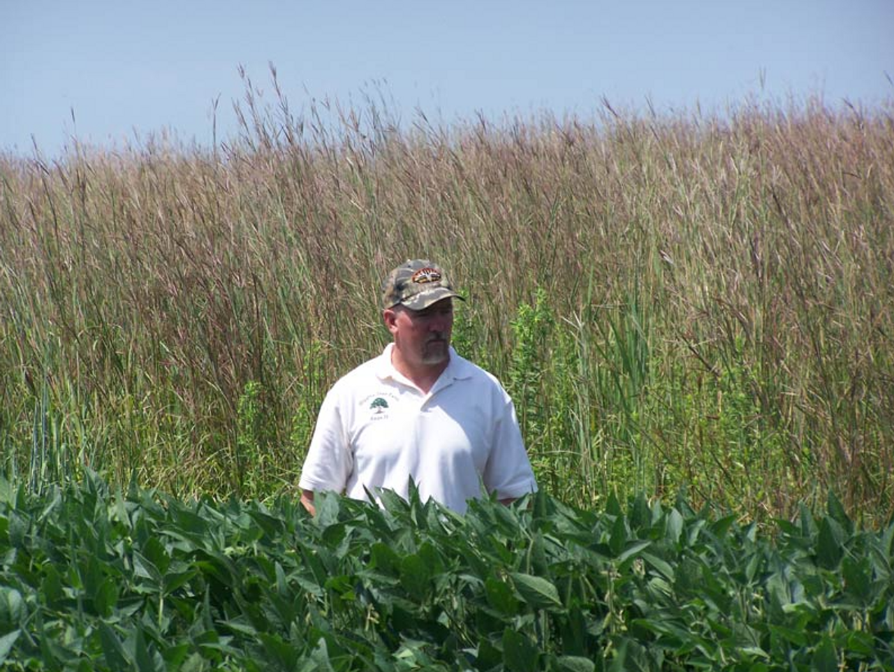 Man in Bedding Field