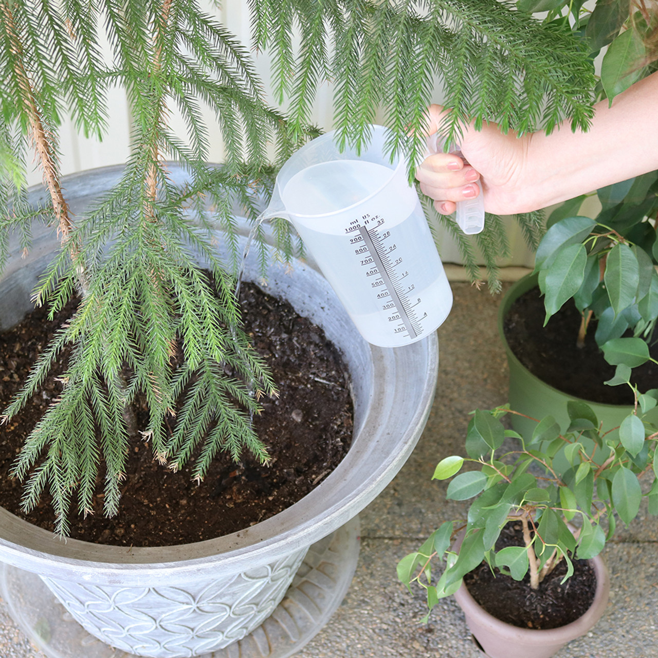 MP-64 being used to water plant