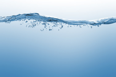 Why Every RV Owner Needs Shurflo Pumps 