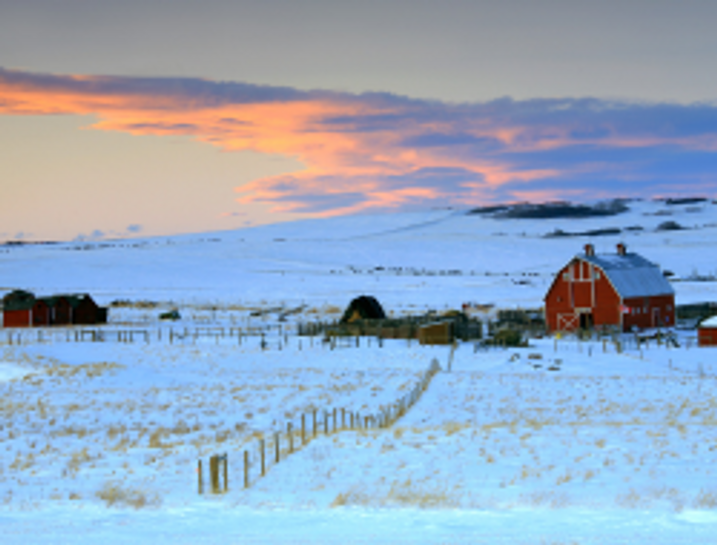 Year-End Essentials for Farmers