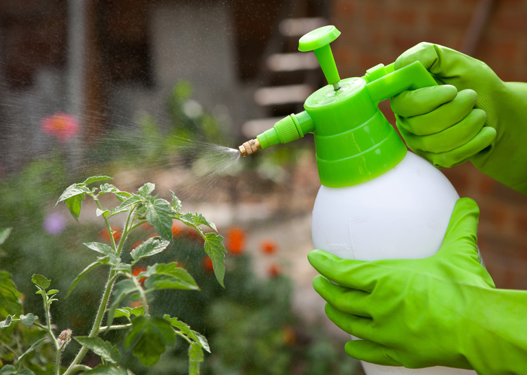 How to Choose the Best Garden Sprayer