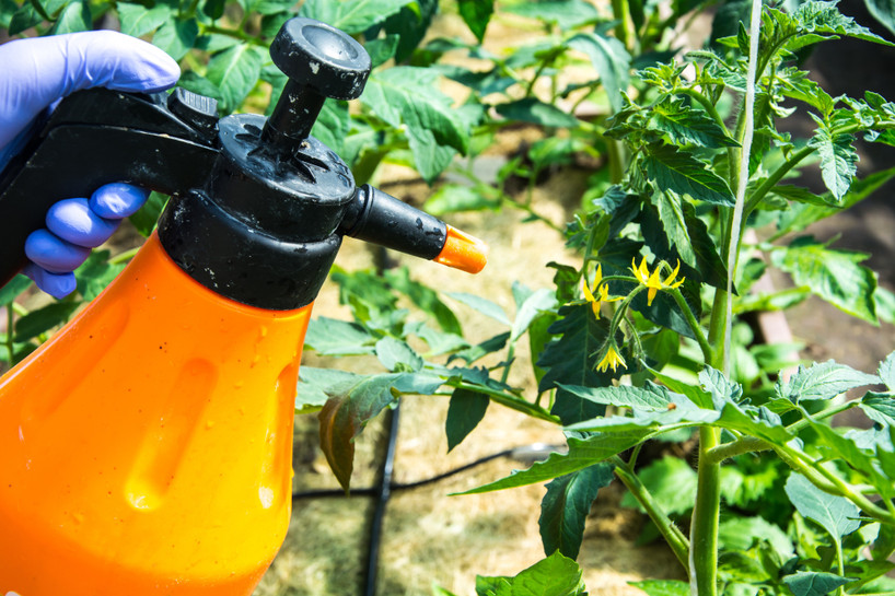 Buying Your Next Garden Sprayer