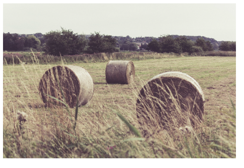 Choosing a Hay Moisture Tester - Guide