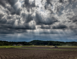 Weather station for agriculture:Wind, rain, humidity