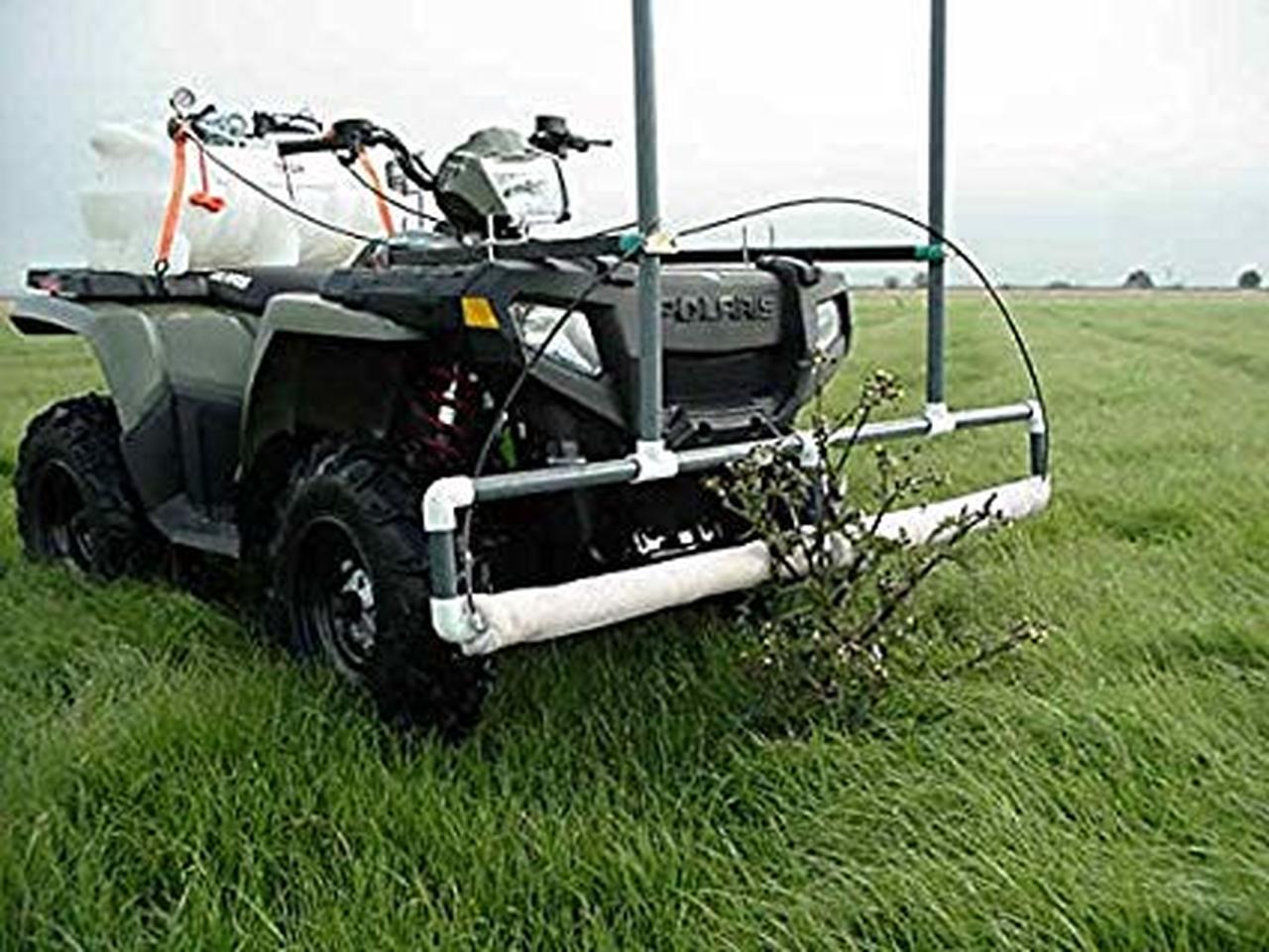 5 Tips for Using Homemade Weed Killer Spray In Your Weed Wiper