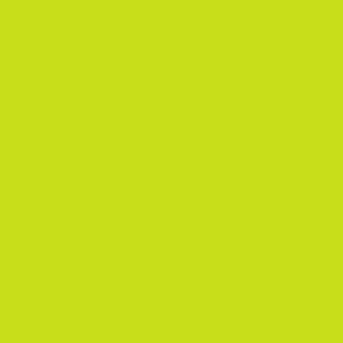 Lime - 15" x 12" Sheet - Siser EasyWeed®