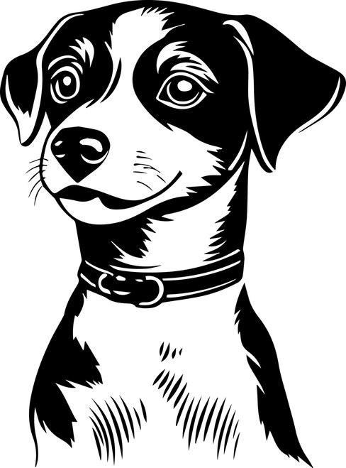 Jack Russell Terrier