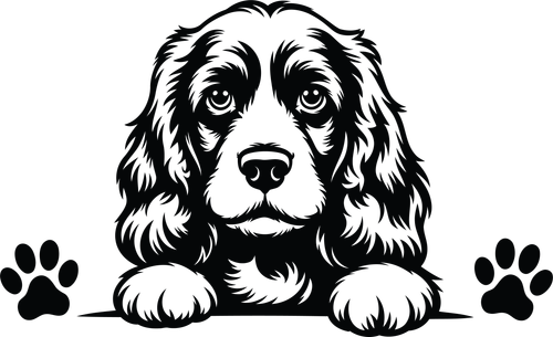 dog2
