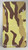 Camo Sand Plastic License Plate