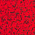 Red - 19" x 12" Sheet - DecoSparkle™ Holographic