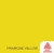 Primrose Yellow- 12" x 5ft Roll -Avery Permanent Adhesive Vinyl