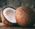 Mahogany Coconut Mini Diffuser - 8mil