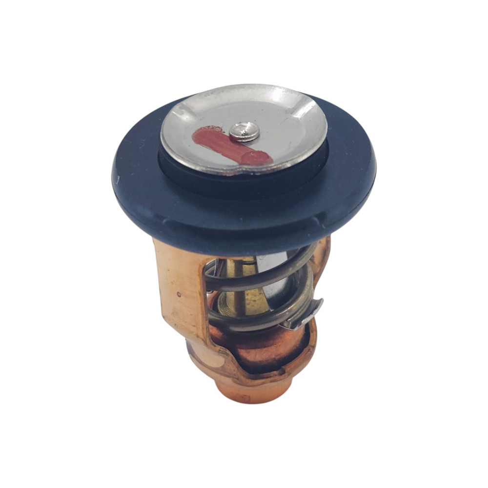 Yamaha OEM 6D9-12411-00 Thermostat
