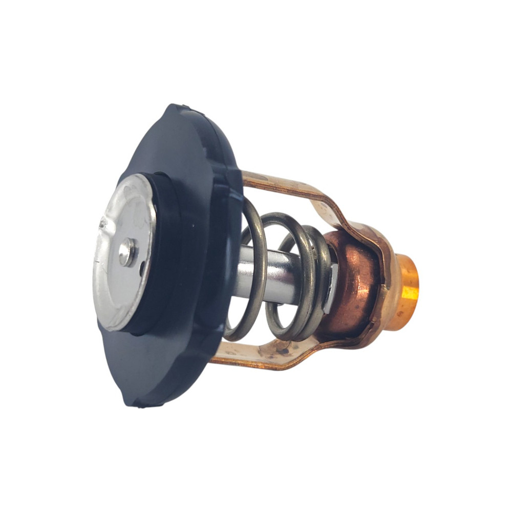 Yamaha OEM 6DA-12411-01 Thermostat