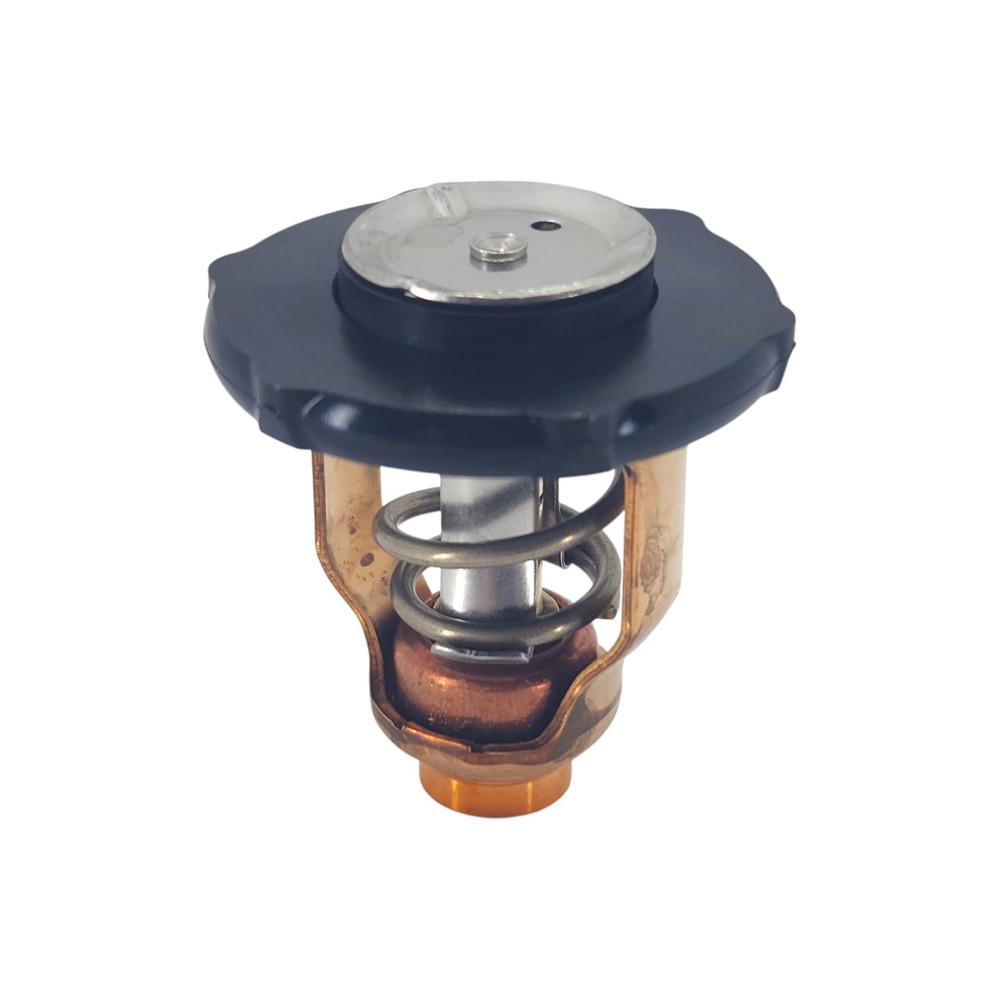 Yamaha OEM 6DA-12411-01 Thermostat