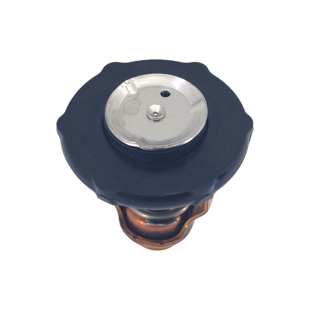 Yamaha OEM 6EK-12411-00 Thermostat