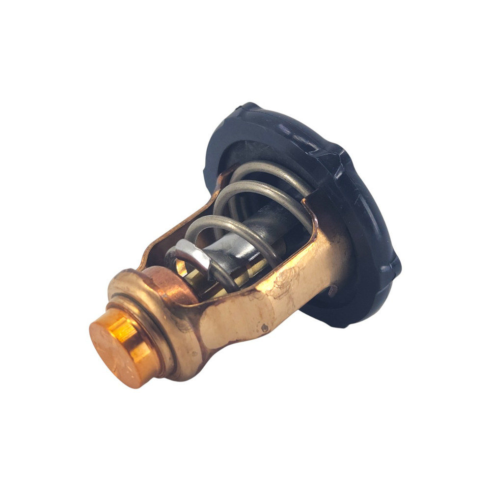 Yamaha OEM 6EK-12411-00 Thermostat