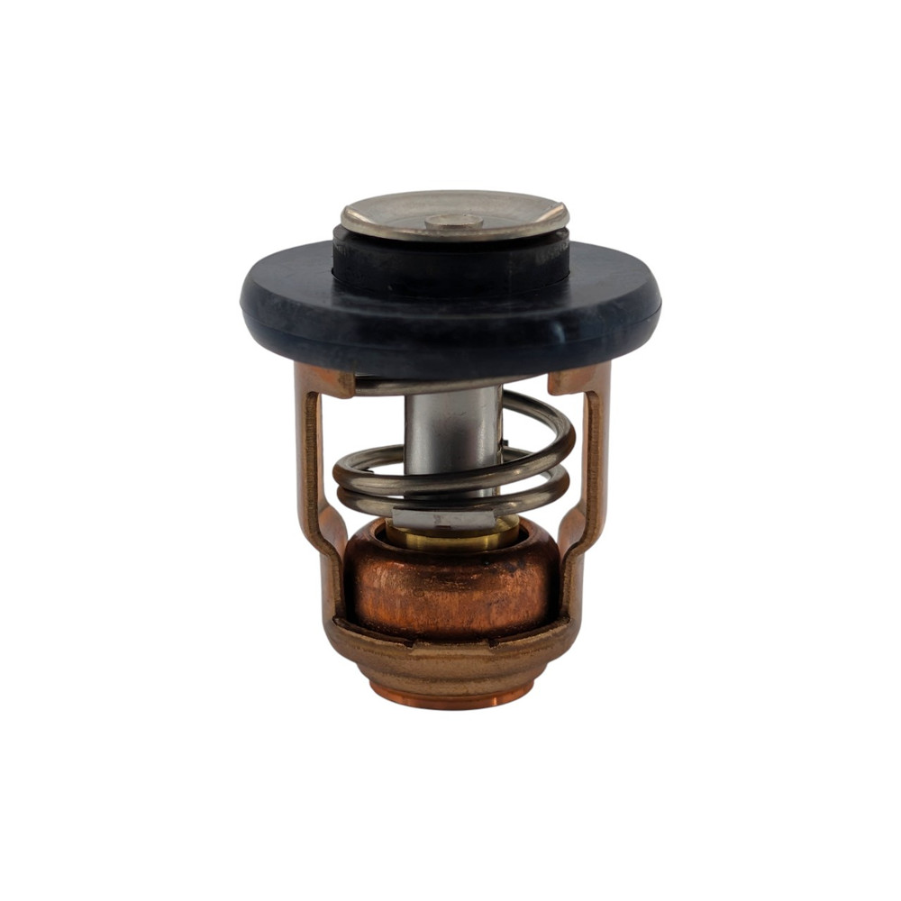 Genuine Yamaha 66M-12411-01 Thermostat