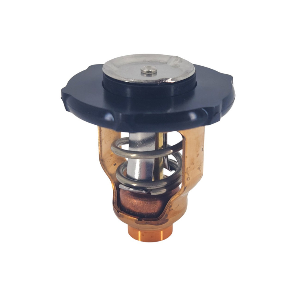 Yamaha OEM 6FP-12411-00 Thermostat