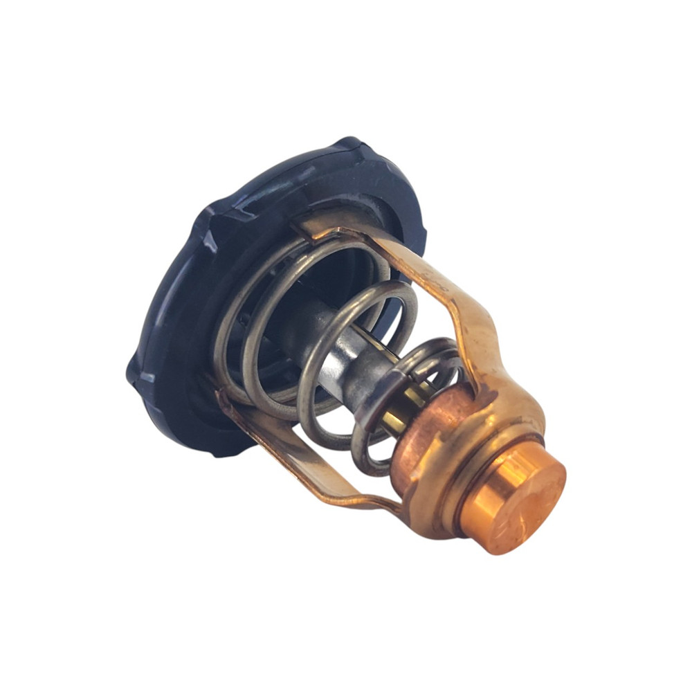 Yamaha OEM 6FP-12411-00 Thermostat