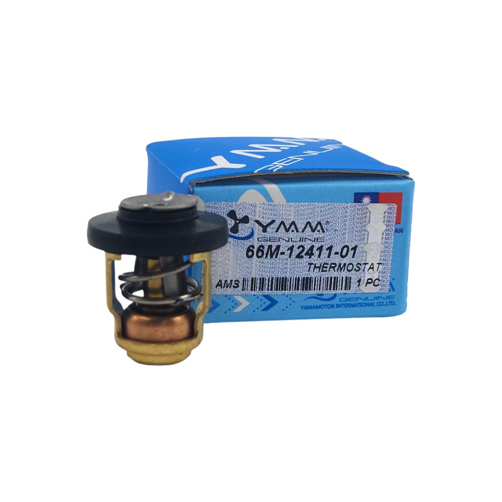 Yamaha 66M-12411-01 Thermostat Replacement