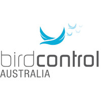 Bird Busta
