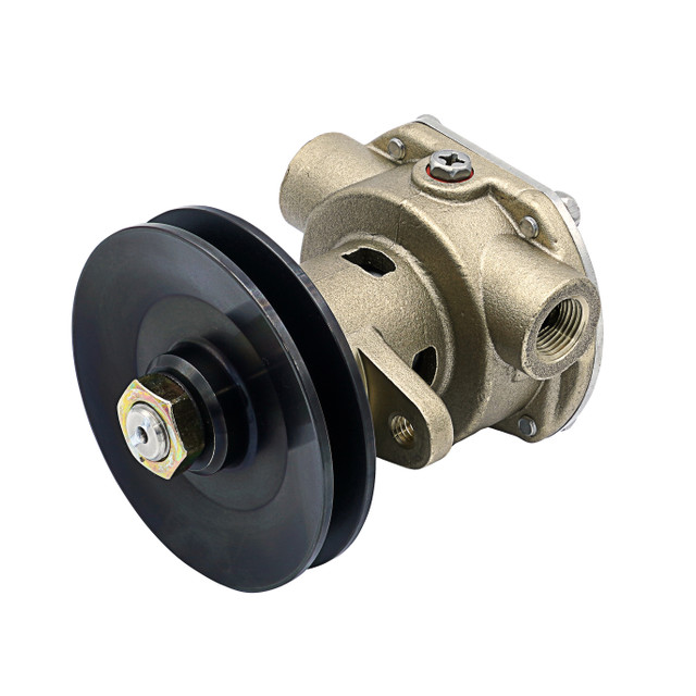 Sherwood G907P, G906P Kohler 344089 Replacement Seawater Pump