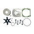 Yamaha OEM 61A-W0078-A4 Water Pump Kit