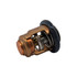 Genuine Yamaha 66M-12411-01 Thermostat