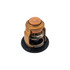 Genuine Yamaha 6H3-12411-11 Thermostat