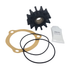 Albinus Sherwood 9000K Kohler 229826 replacement seawater impeller kit