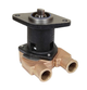 Genuine Sherwood G702 Onan 132-0459 Seawater Pump